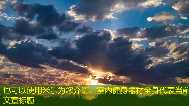<strong>米乐为您介绍：室内健身器材全身</strong>