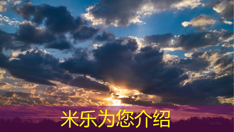 <strong>米乐：环保型塑胶跑道生产商</strong>