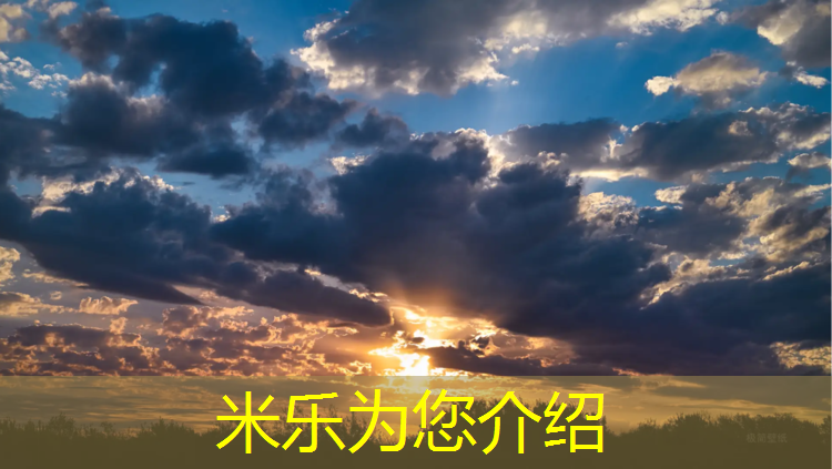 <strong>米乐为您介绍：莆田混合塑胶跑道</strong>