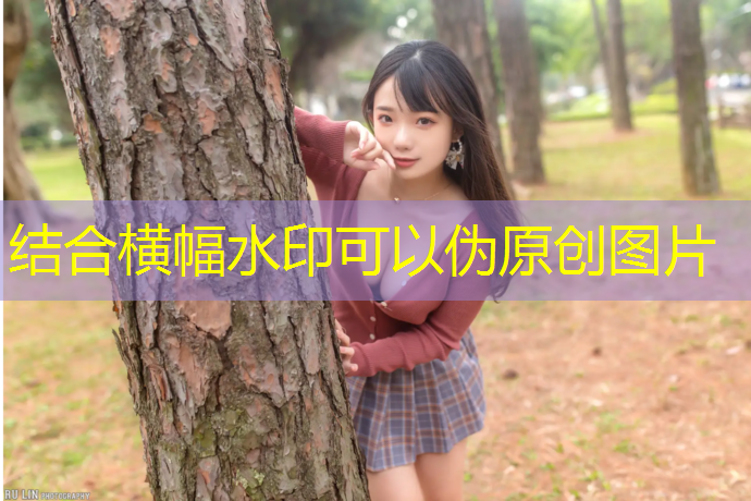 迷你世界有关程序的游戏