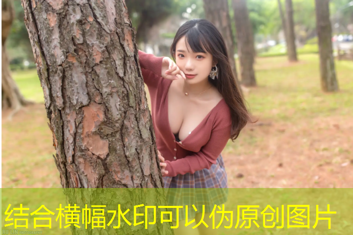 健身房篮球热身器材有哪些