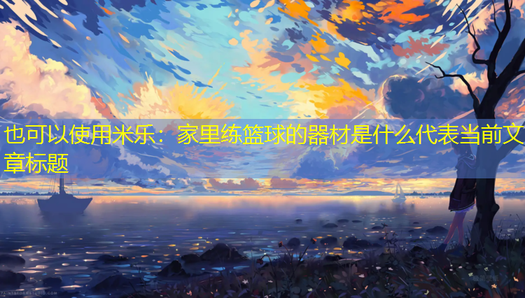 家里练篮球的器材是什么